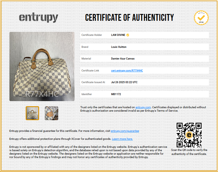 Speedy Handbag Damier 30