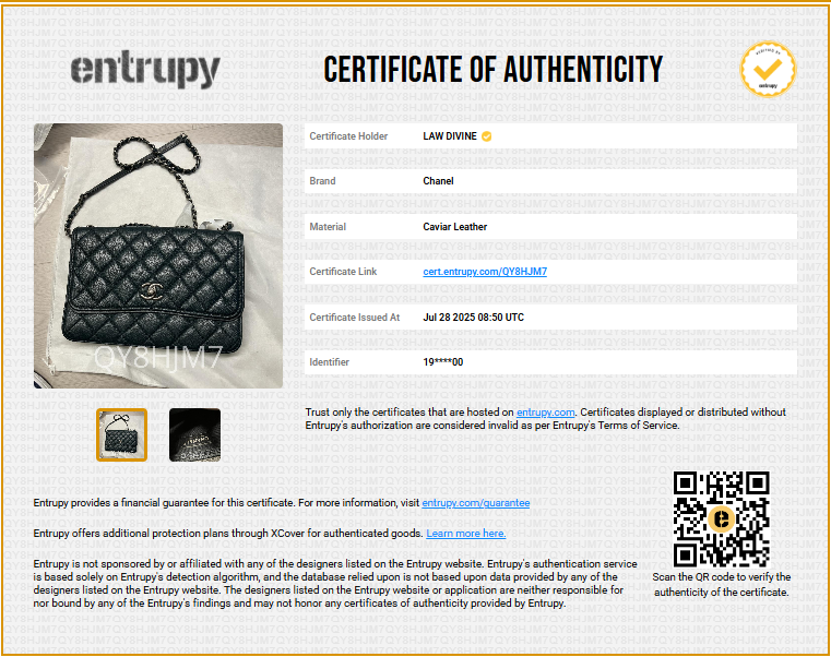 Classic flap Wallet on Chain Quilted Caviar