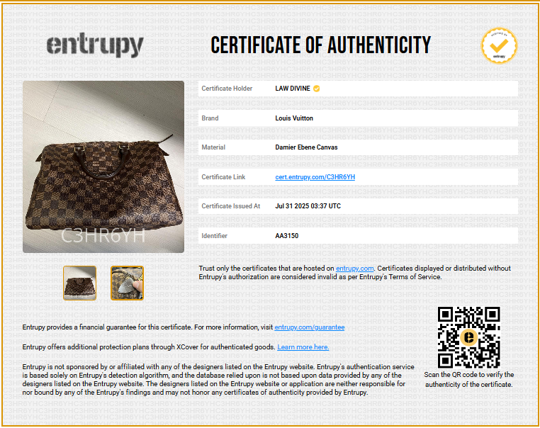Speedy Handbag Damier 30