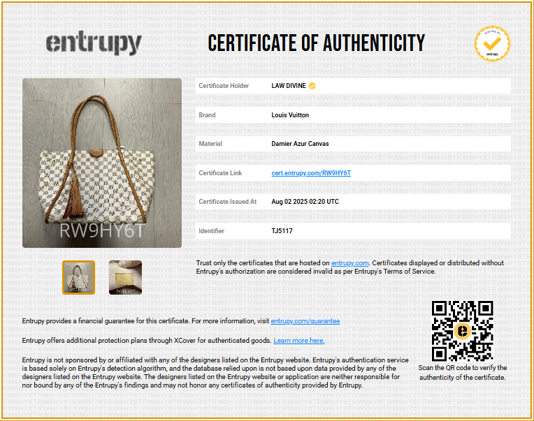 Propriano Handbag Damier