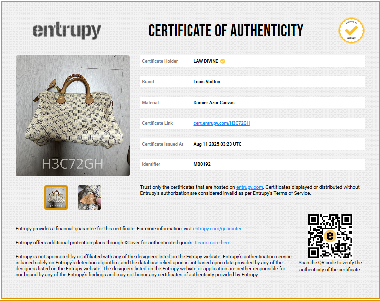 Speedy Handbag Damier 30