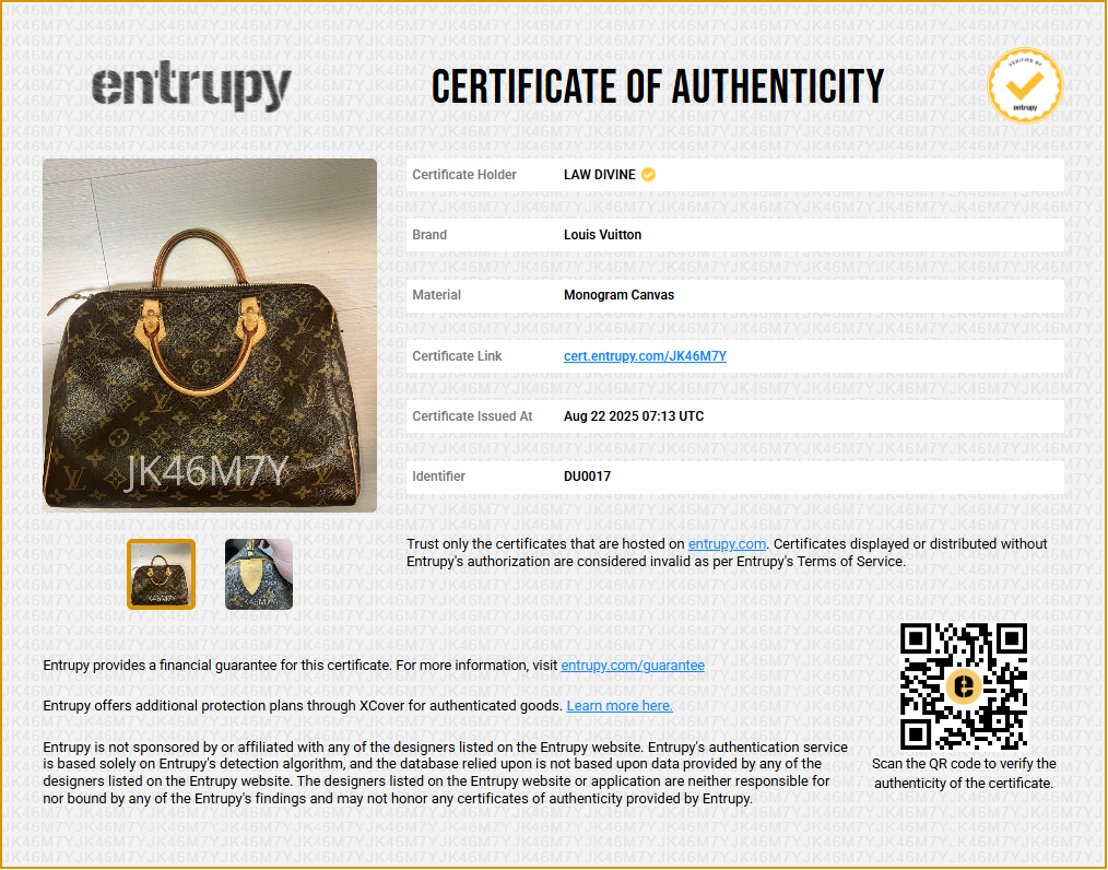 Speedy Handbag Monogram Canvas 30