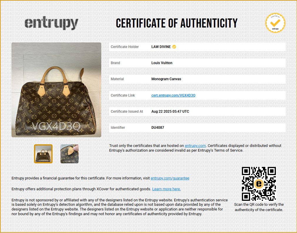 Speedy Handbag Monogram Canvas 30