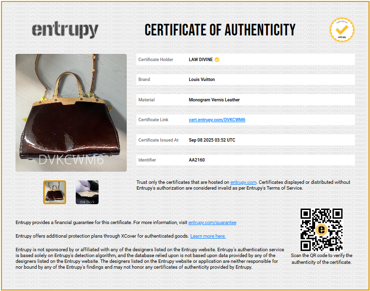 Brea Handbag Monogram Vernis MM Twins