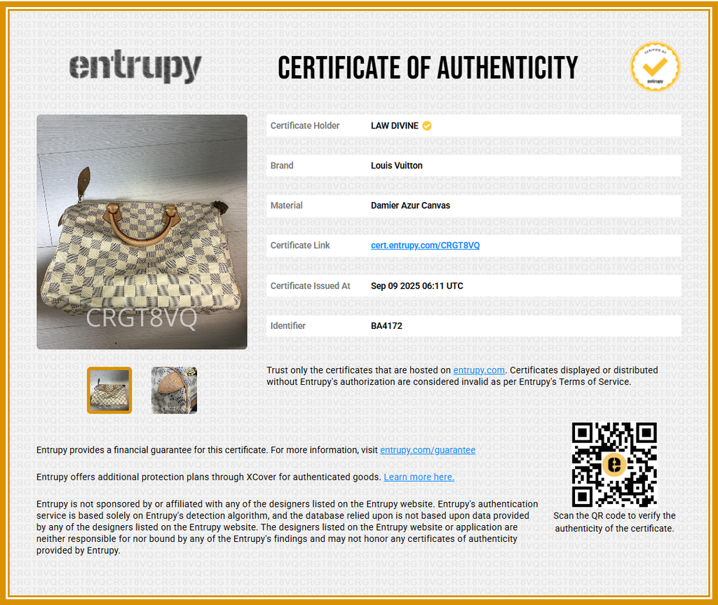 Speedy Handbag Damier 30