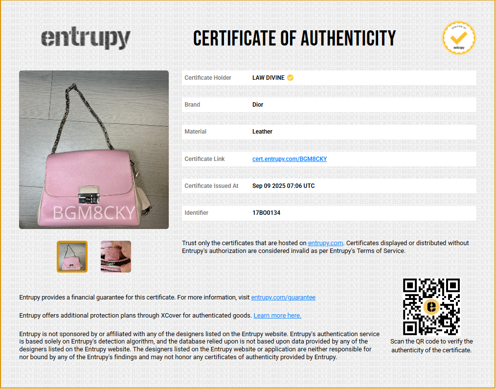 Diorling Shoulder Bag Leather Small