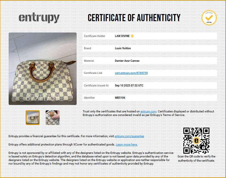 Damier Azur Speedy Bandouliere 25