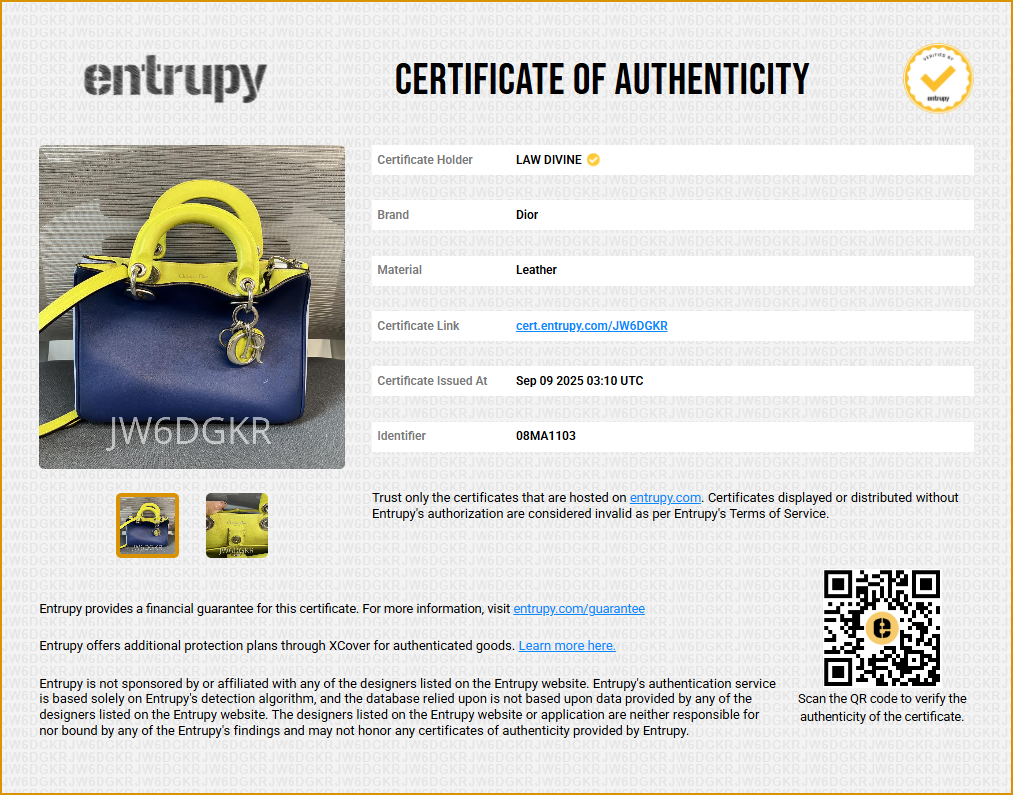 Lady Dior leather handbag