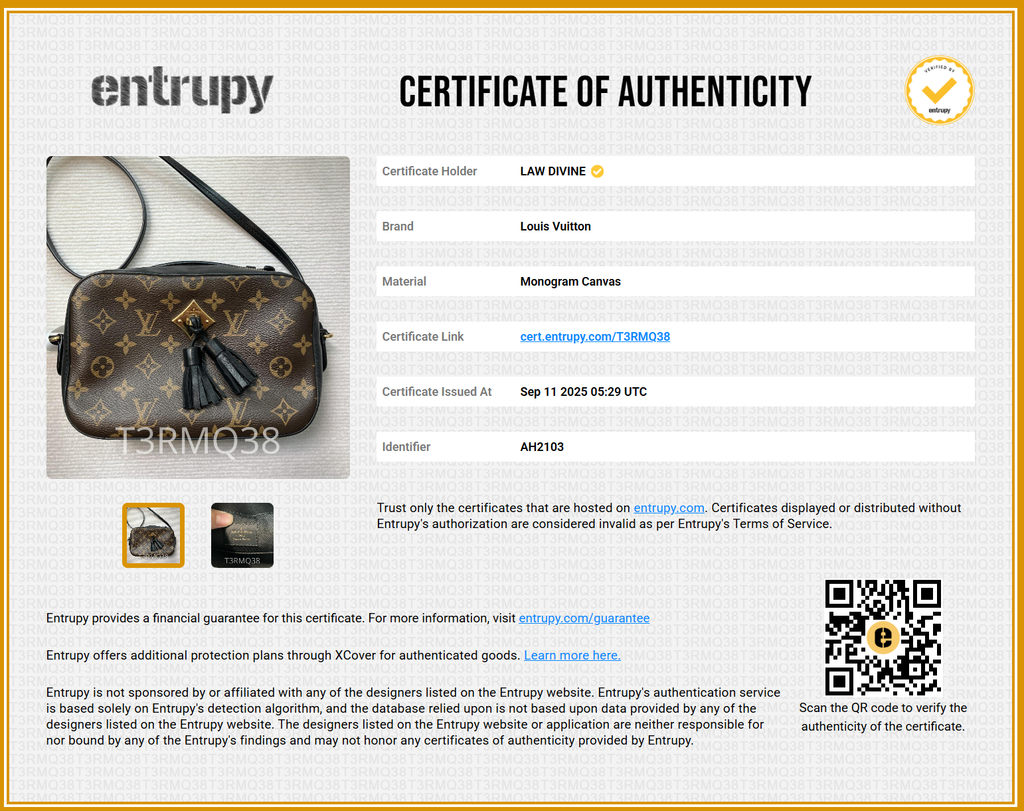 Saintonge Handbag Monogram Canvas with Leather