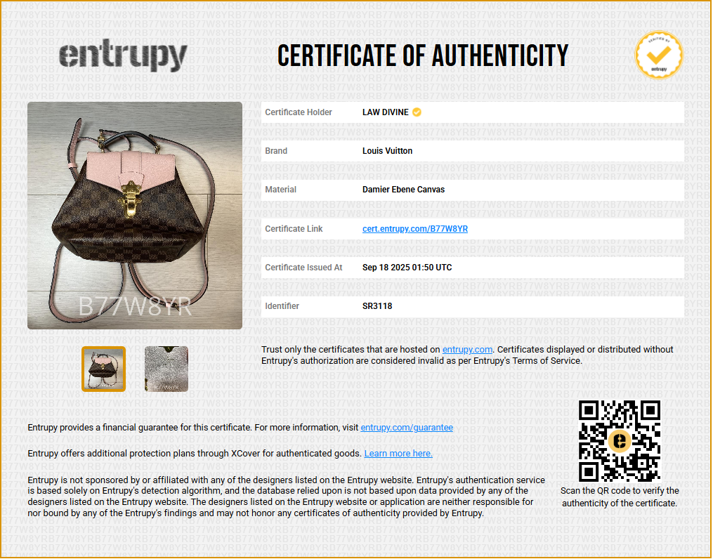 Clapton Backpack Damier and Leather