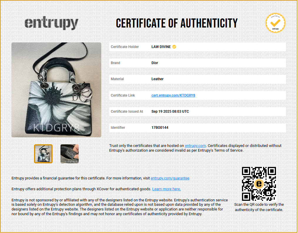 Lady Dior Bag Printed Leather Medium