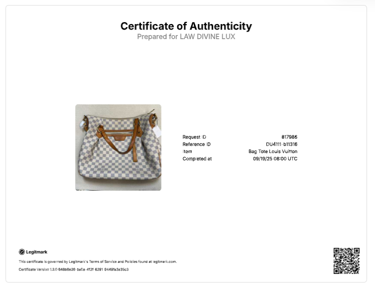 Damier Azur Evora GM