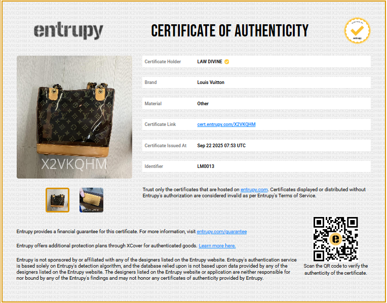 Sac Ambre Handbag Monogram Vinyl PM