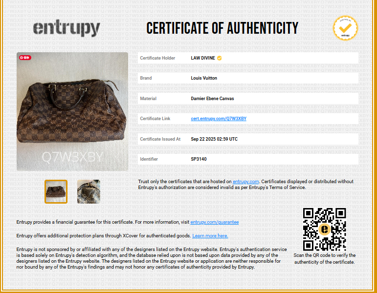 Speedy Handbag Damier 30