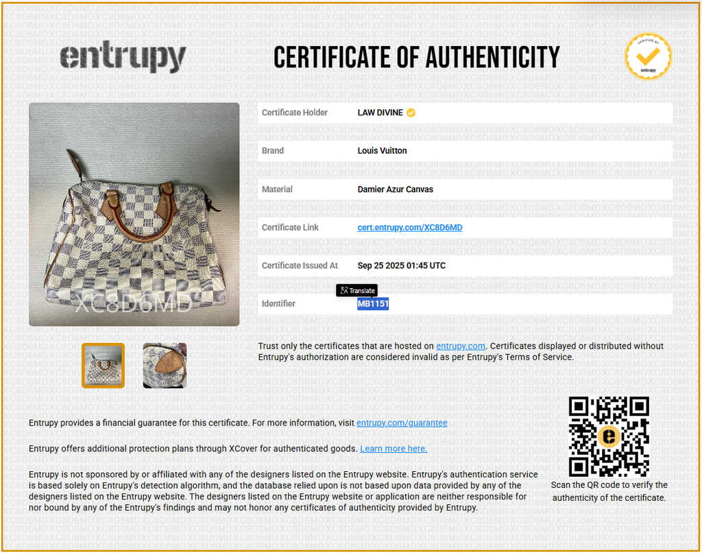 Speedy Handbag Damier 25