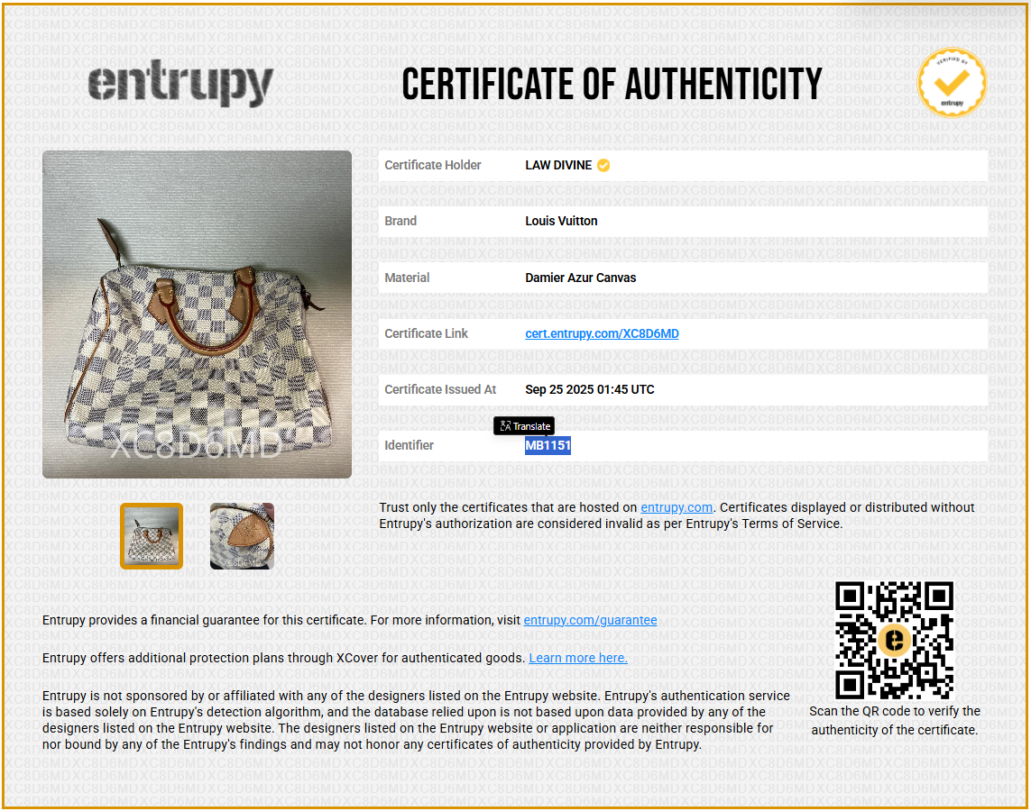 Speedy Handbag Damier 25