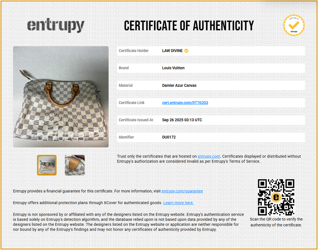 Speedy Handbag Damier 30