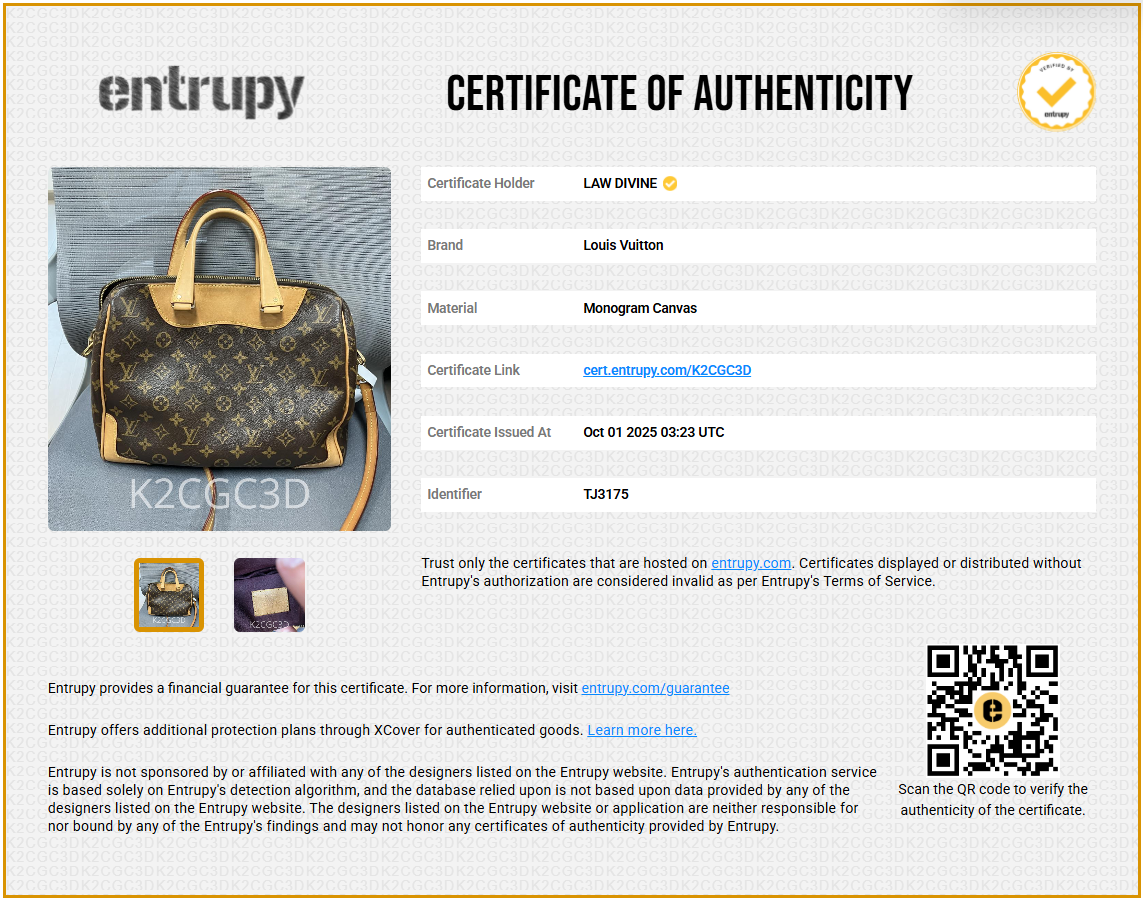 Retiro NM Handbag Monogram Canvas