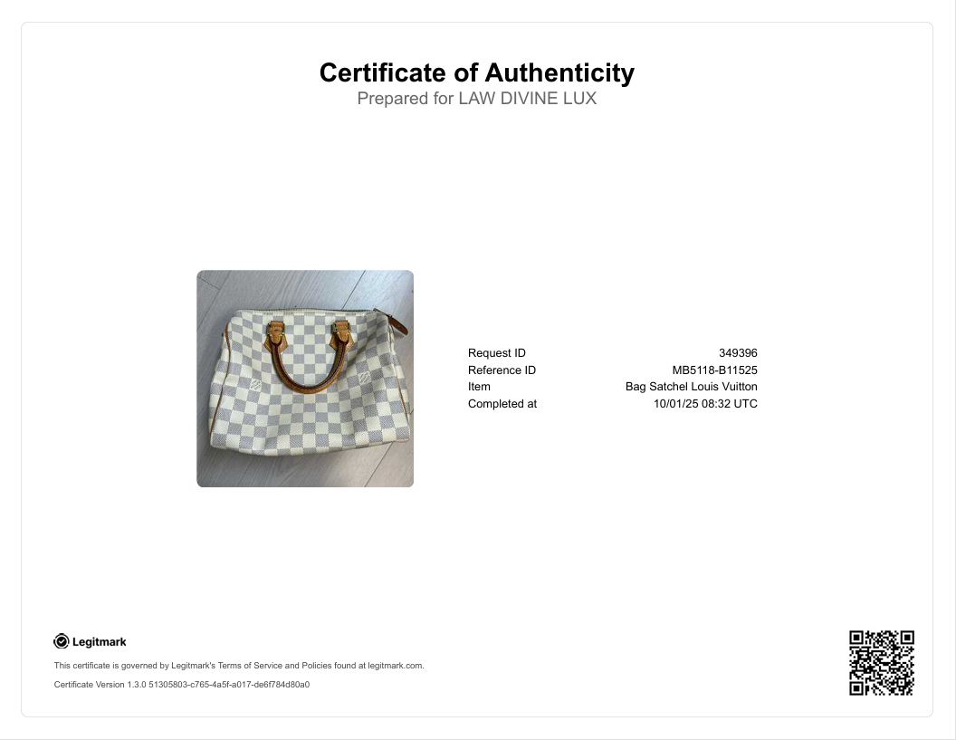 Speedy Handbag Damier 25 Twins