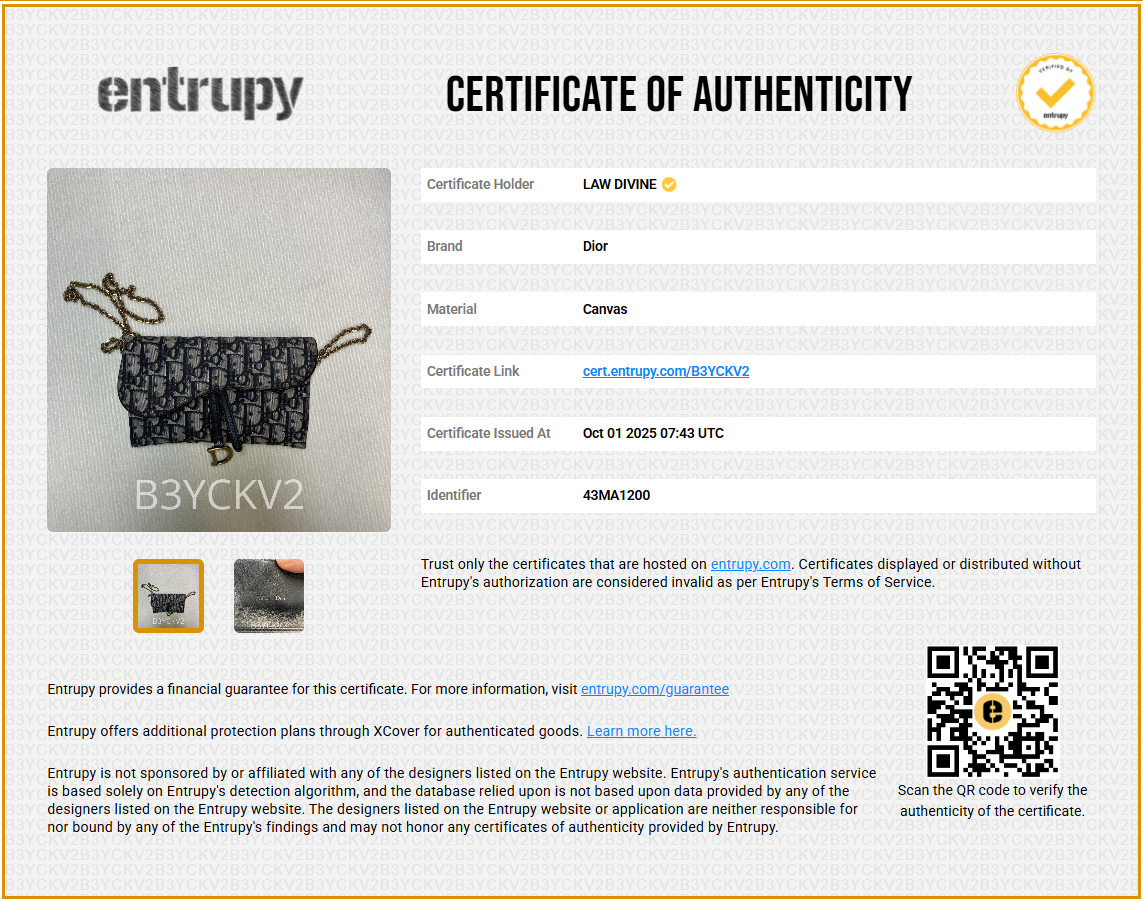 Oblique Saddle woc Chain