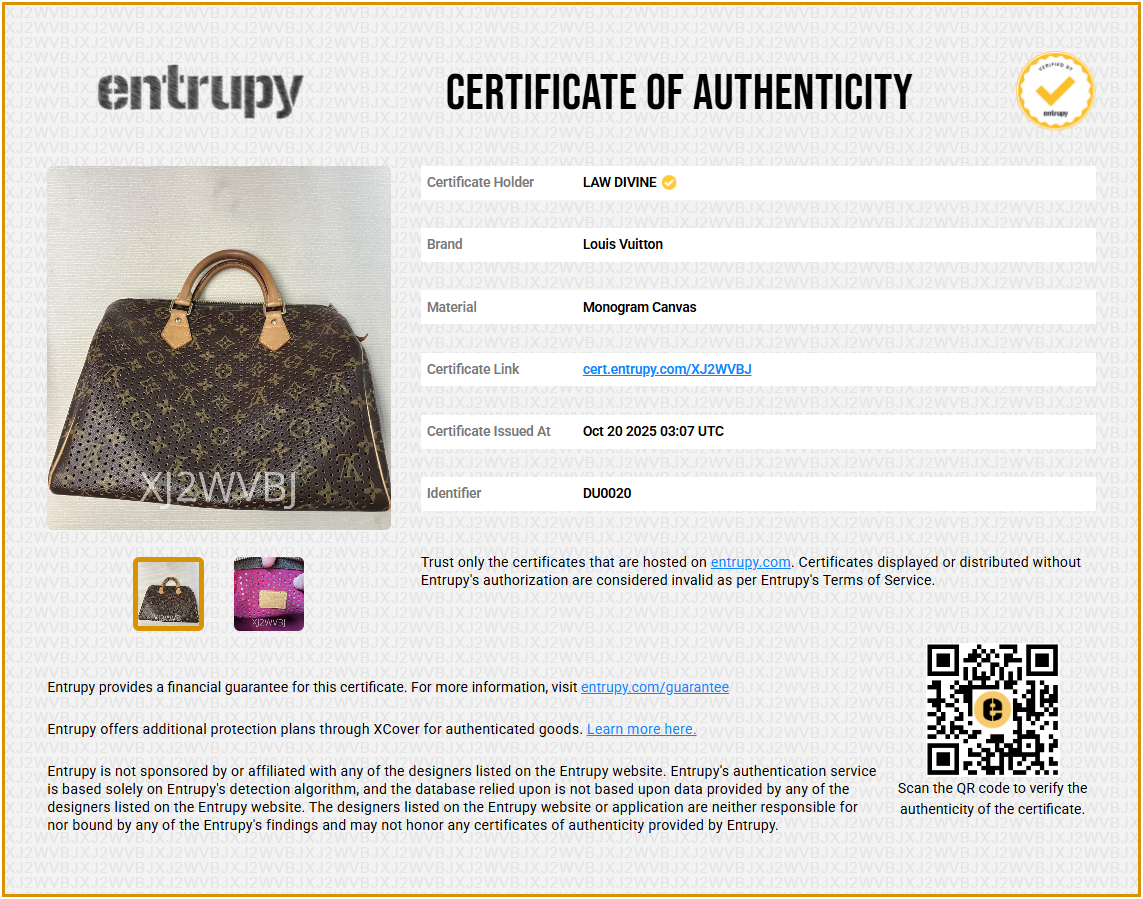 Speedy Handbag Perforated Monogram Canvas 30