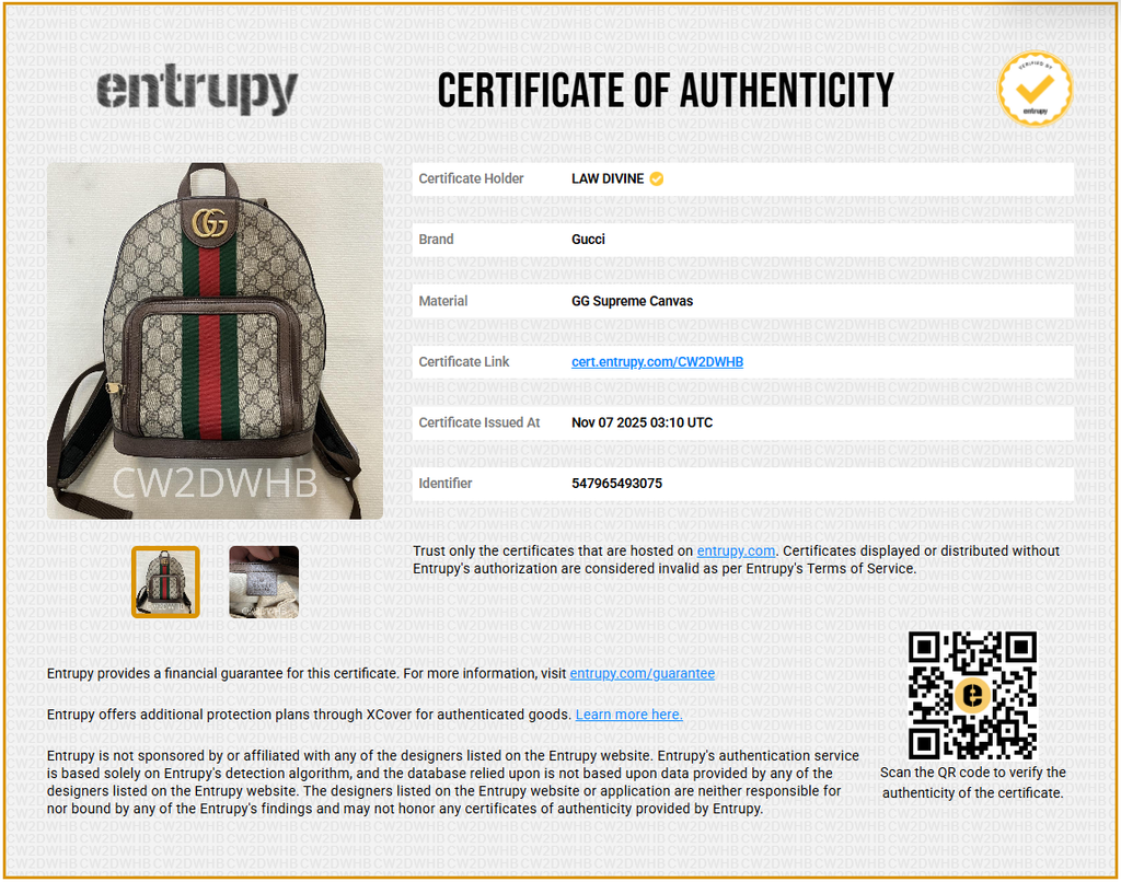 Ophidia Backpack GG Coated Canvas and Leather Small