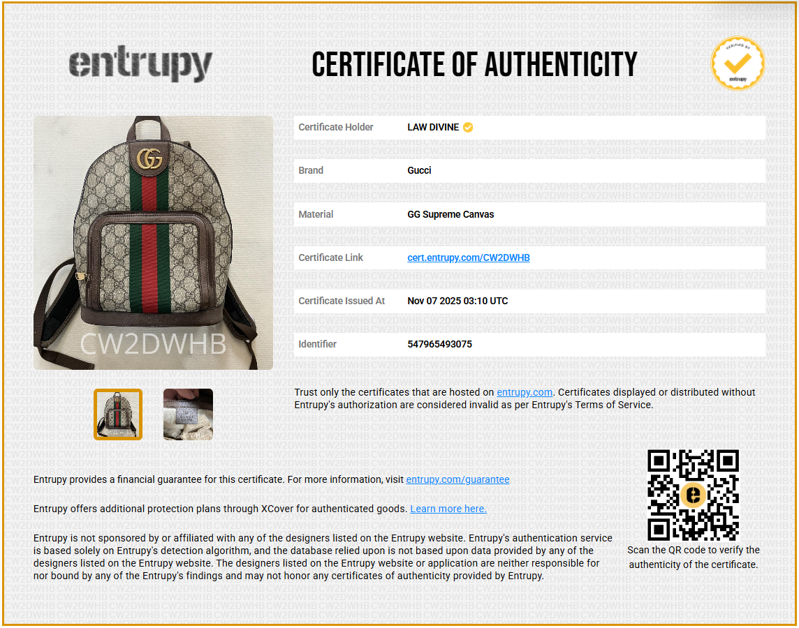 Ophidia Backpack GG Coated Canvas and Leather Small