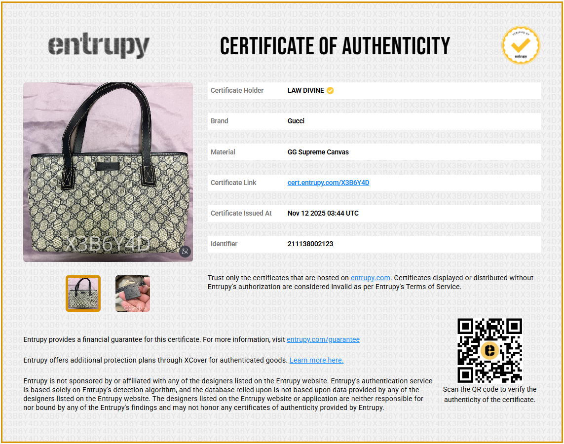 Plus Tote GG Coated Canvas Small