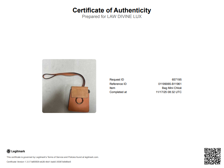 Faye Bracelet Crossbody Bag Leather and Suede Mini