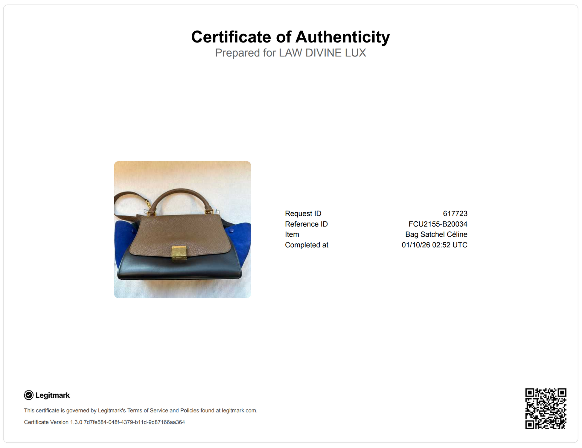 Small Trapeze Hand Bag Tricolor B20034