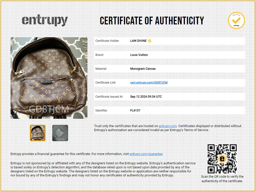 Louis Vuitton Monogram Palm Springs PM