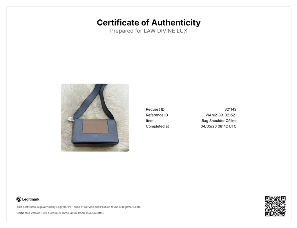 Celine Frame Shoulder Bag beige mix gray blue B21521