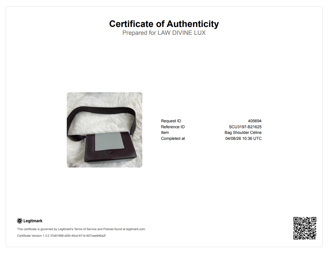 Céline Medium Frame Bag B21625