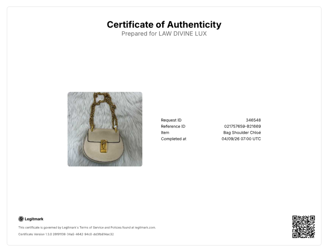 Chloé Leather Drew B21669