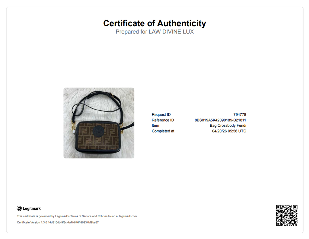 Fendi Zucca Camera Case Bag B21811