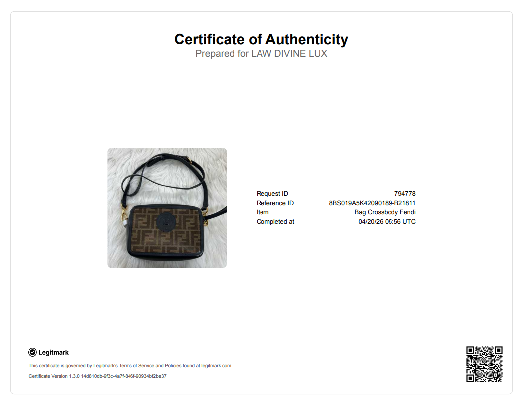 Fendi Zucca Camera Case Bag B21811