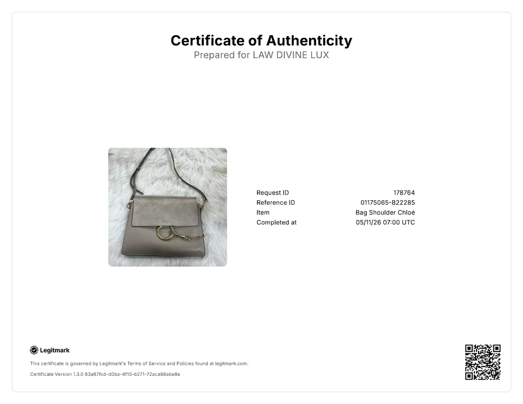 Chloe Faye Medium Shoulder Bag B22285