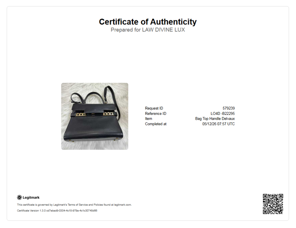 Delvaux Tempete Small B22295