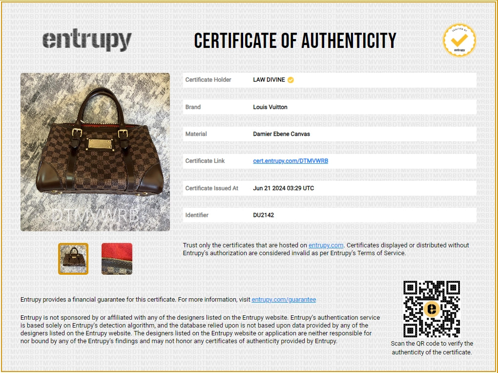 Louis Vuitton Berkeley Handbag Damier