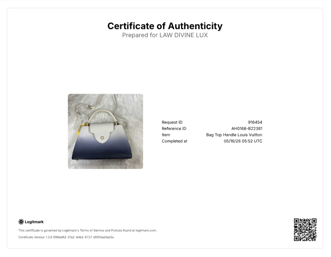 Capucines Bag Ombre Leather PM B22381
