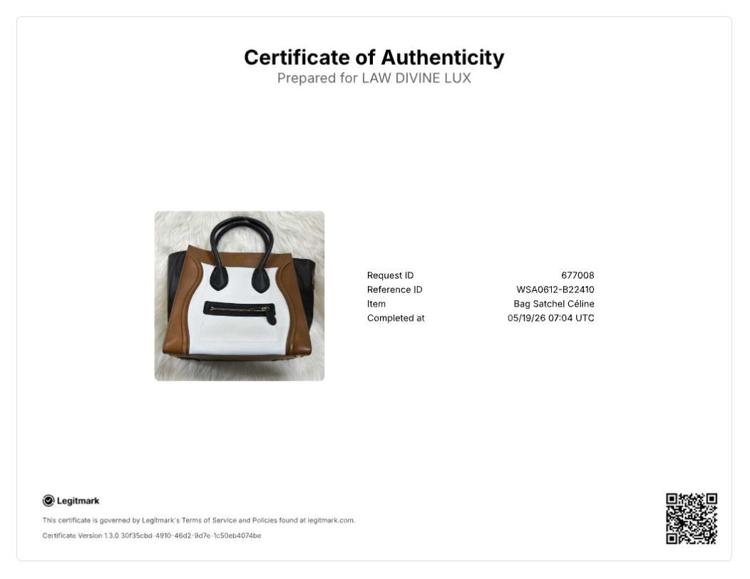 Celine Luggage Tote Bag B22410