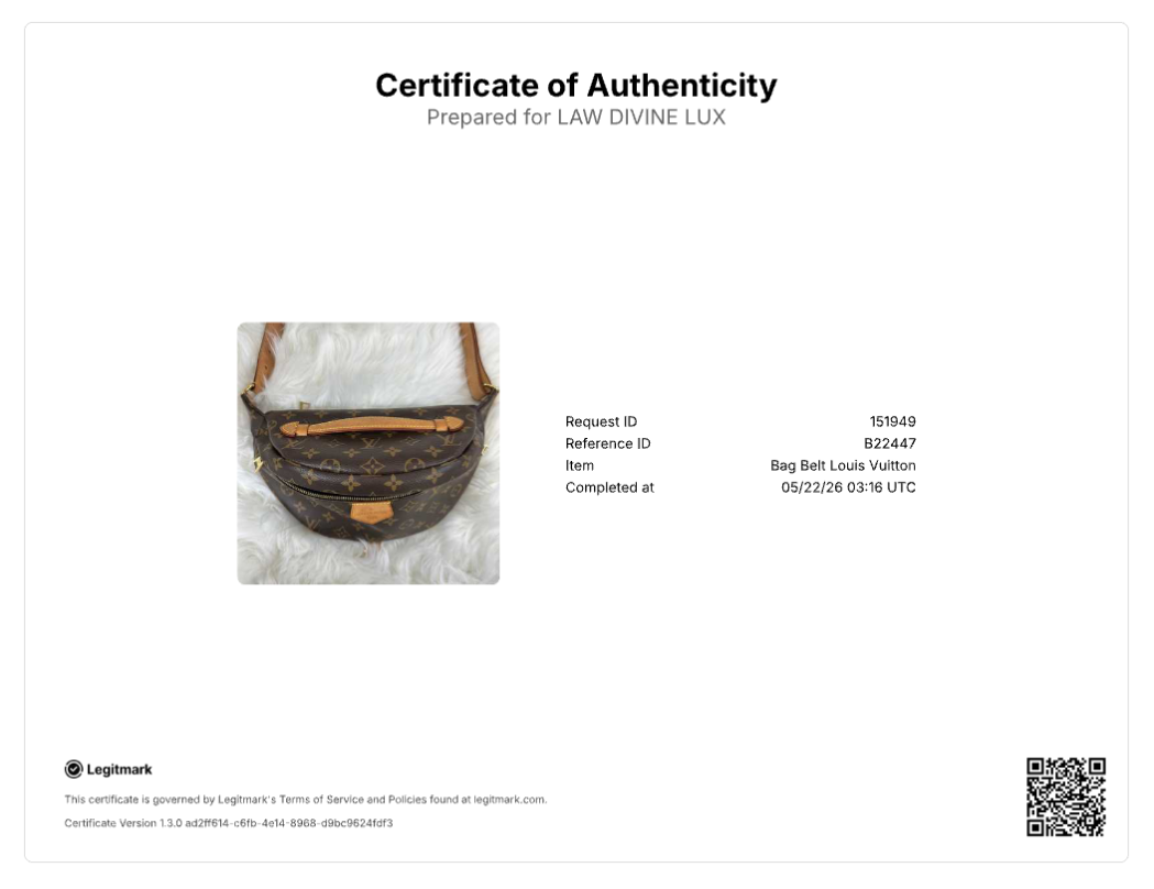 Louis Vuitton Monogram Bumbag B22447