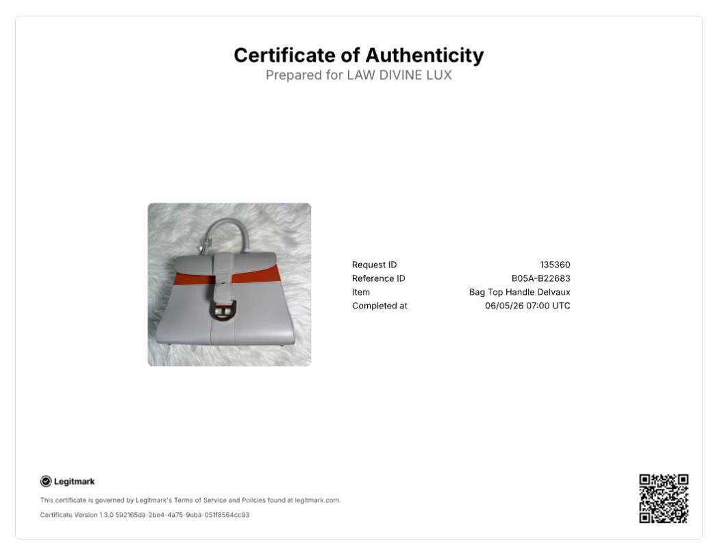 Delvaux Brillant Mini Magic B22683