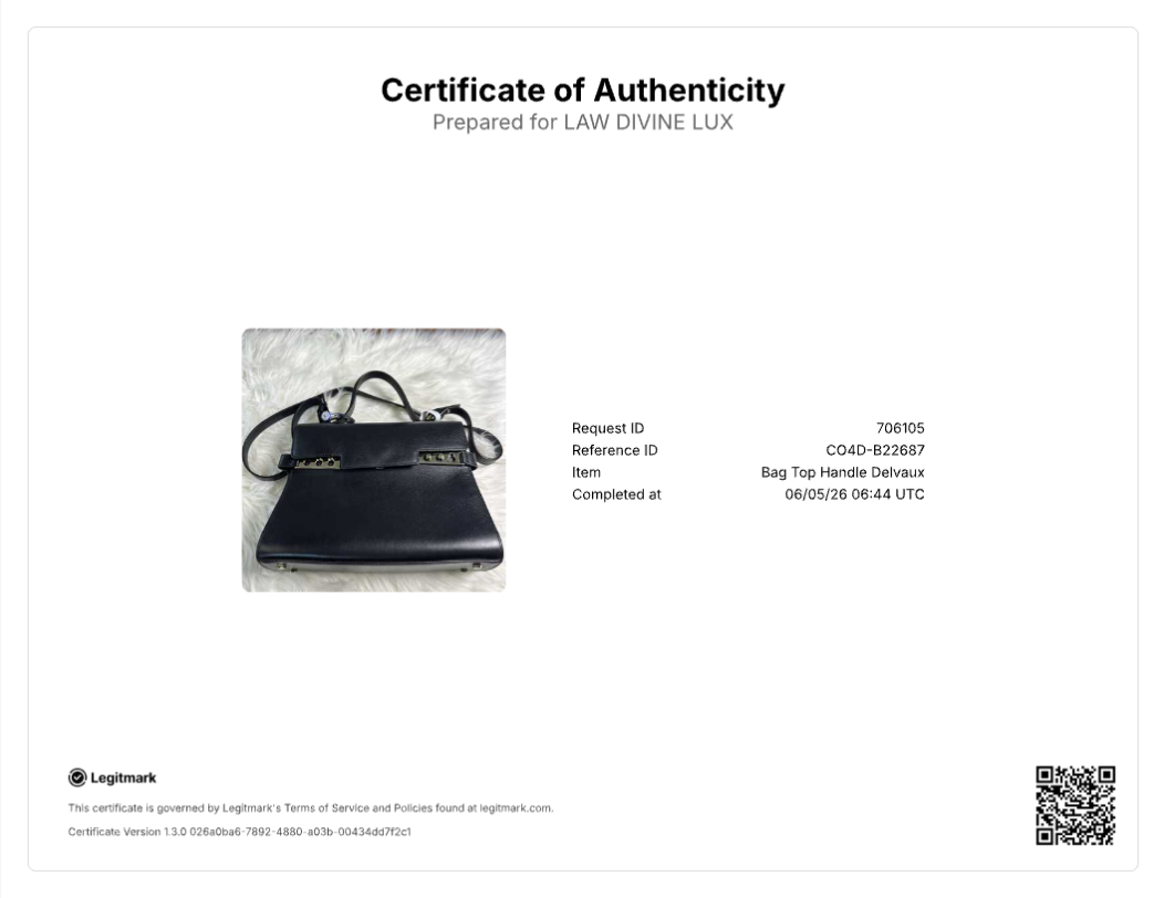 Delvaux Tempête Satchel Bag B22687