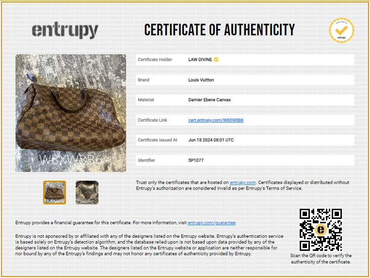 Louis Vuitton Speedy Handbag Damier 30