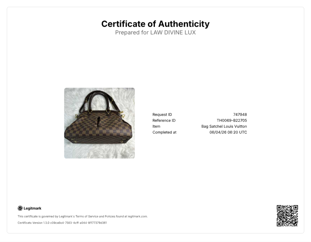 Damier Canvas Trevi PM Bag B22705