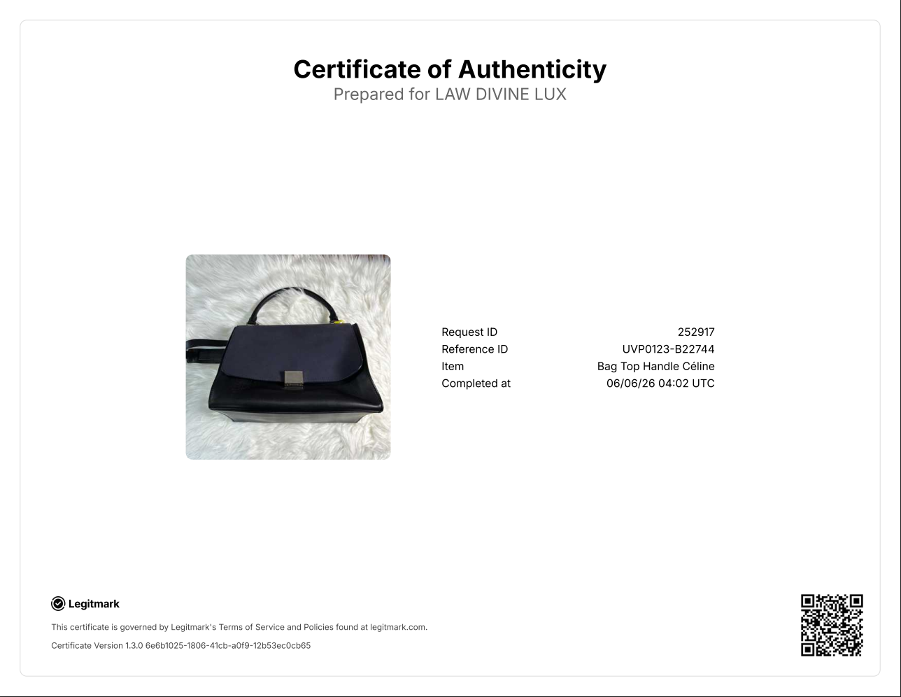 Celine Tricolor Leather Medium Trapeze Bag B22744