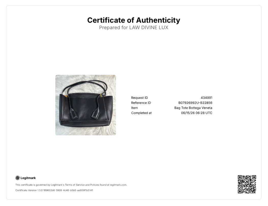 Bottega Veneta Medium Arco Tote Bag B22856