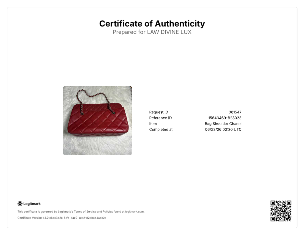 Chanel In the Business Camera Bag B23023