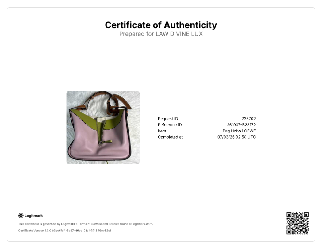 Loewe Hammock Small Tricolor Bag B23172